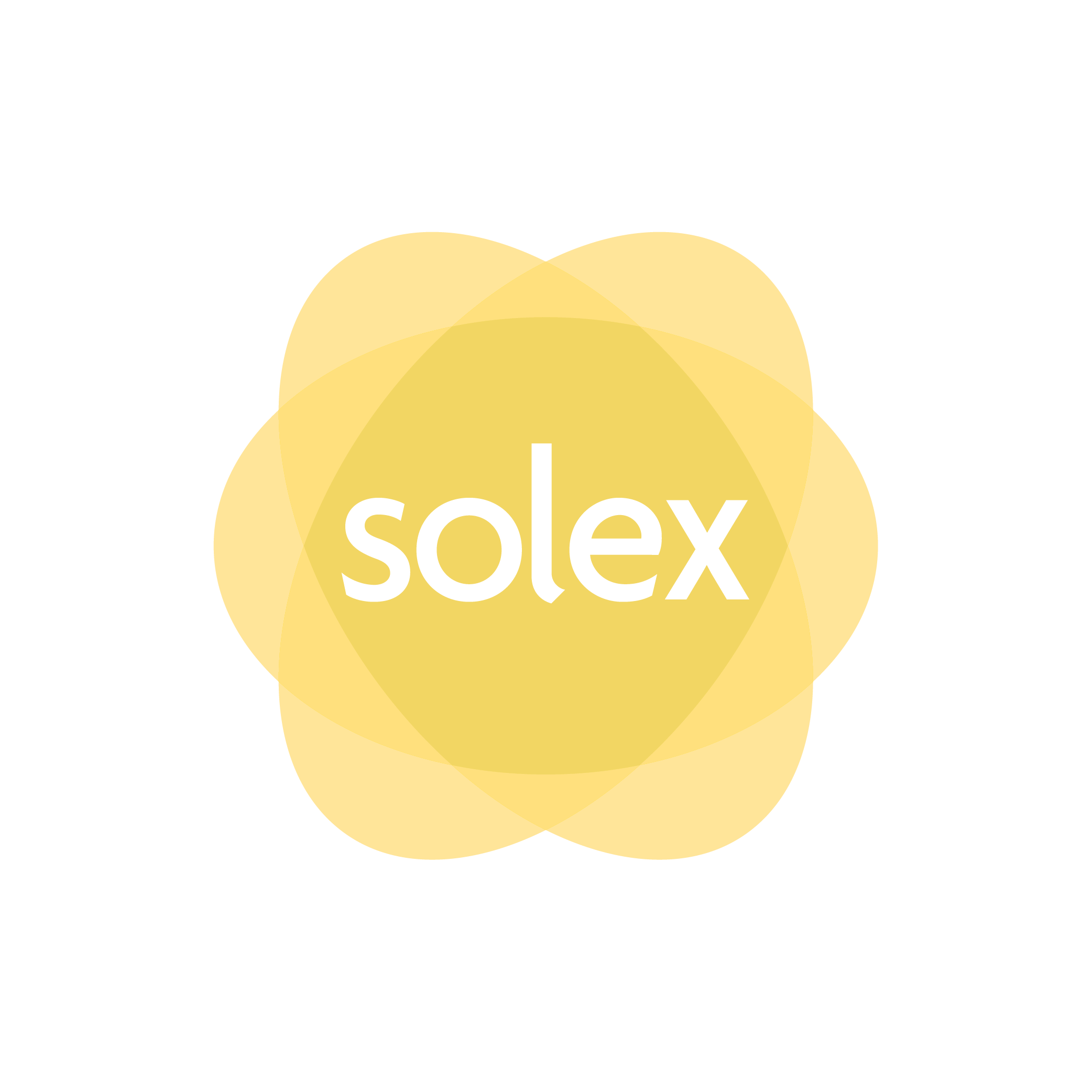 Solex_Logo_Flower_Yellow_White_Text - Gina Hinde.png